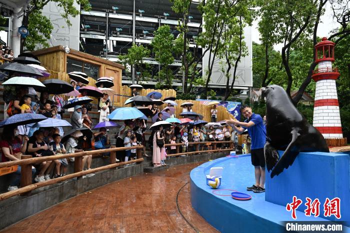 广州海洋馆焕新升级 开门迎客