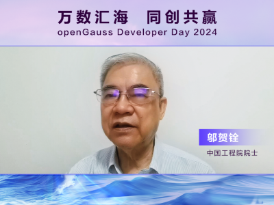 万数汇海，同创共赢，openGauss Developer D