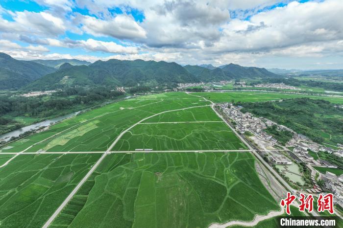 航拍贵州贵定夏日田园景美如画