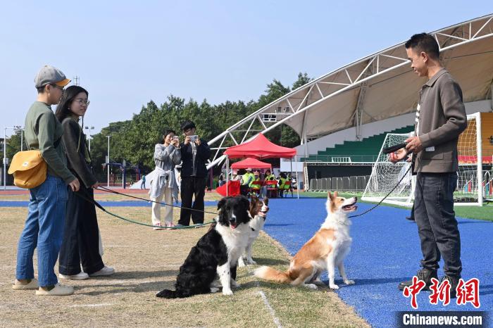 第六届广东省宠物文化节在广州举行