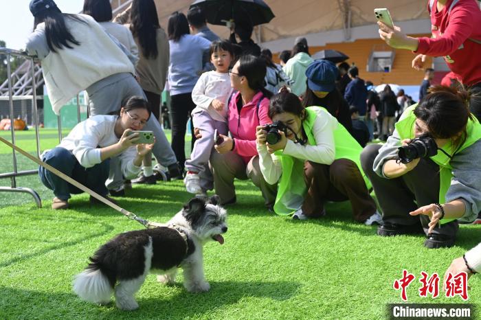 第六届广东省宠物文化节在广州举行