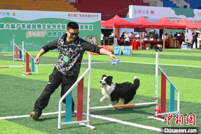 第六届广东省宠物文化节在广州举行