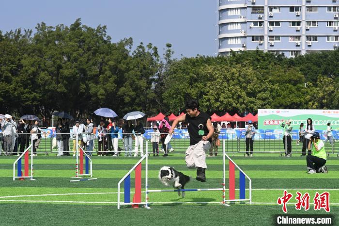 第六届广东省宠物文化节在广州举行