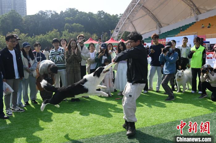 第六届广东省宠物文化节在广州举行