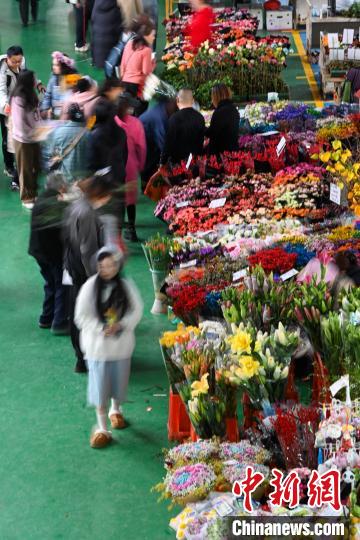 昆明斗南花卉市场年宵花走俏