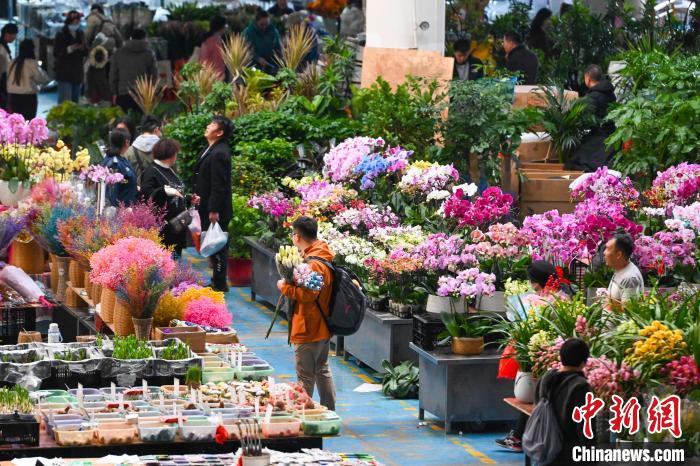 昆明斗南花卉市场年宵花走俏