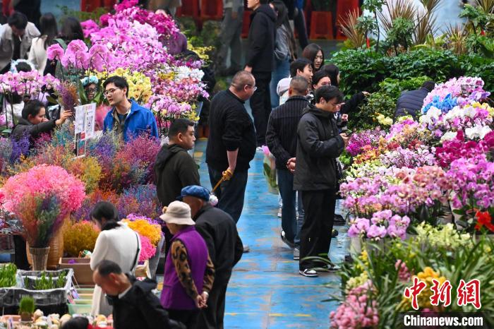 昆明斗南花卉市场年宵花走俏