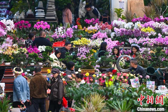 昆明斗南花卉市场年宵花走俏