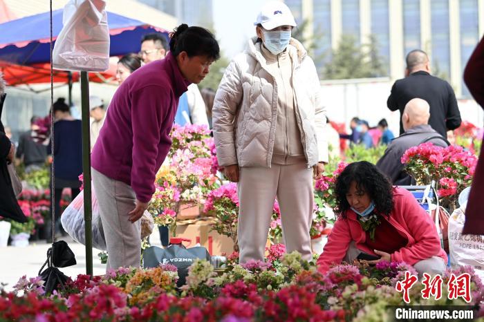 甘肃兰州春季花卉展吸引民众